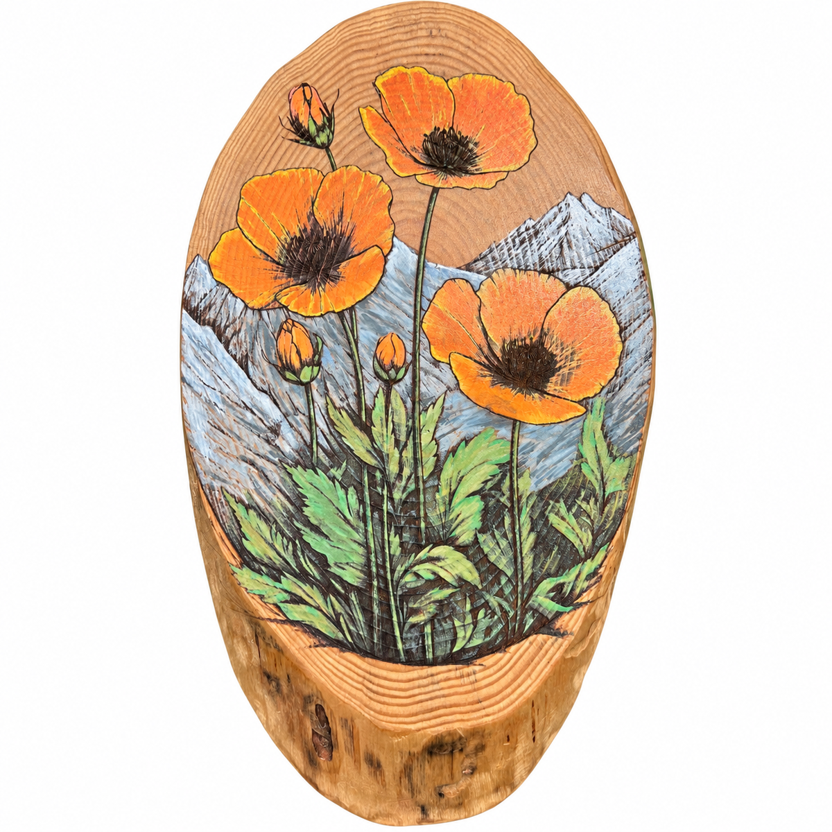 CA Poppies