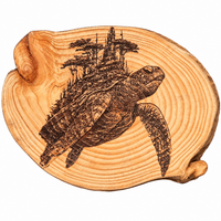 Cosmic Turtle